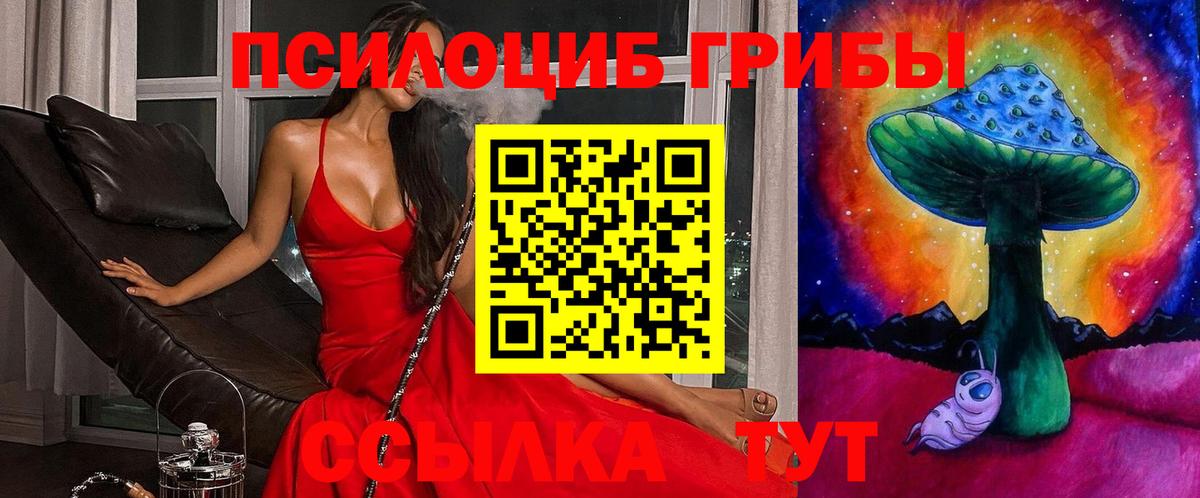 Серов  Галлюциногенные грибы Cubensis  Вход с VPN  Галлюциногенные грибы Psilocybine cubensis 
