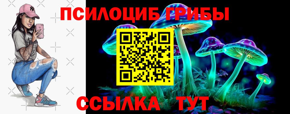 Галлюциногенные грибы Cubensis Серов